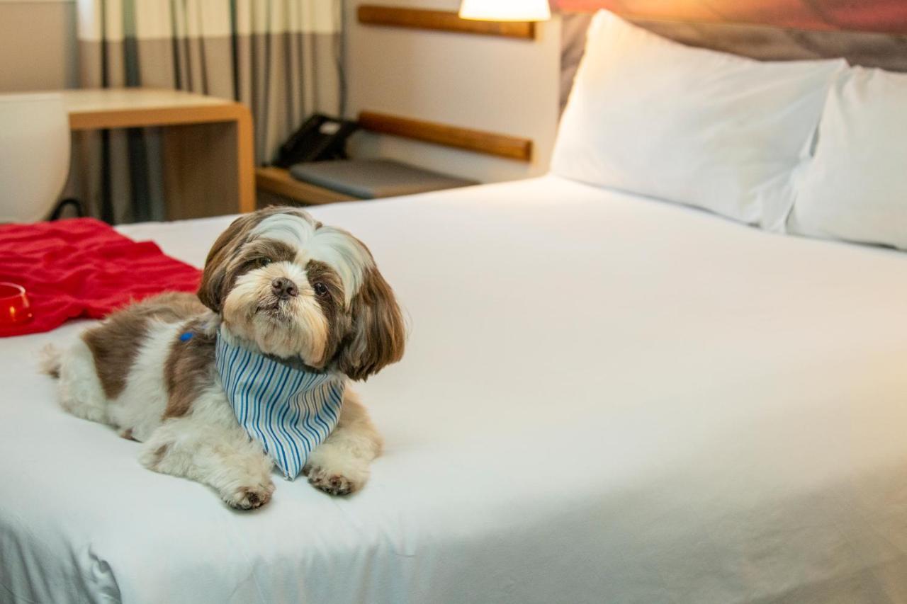 Ibis Sao Paulo Tatuape Hotel Екстериор снимка