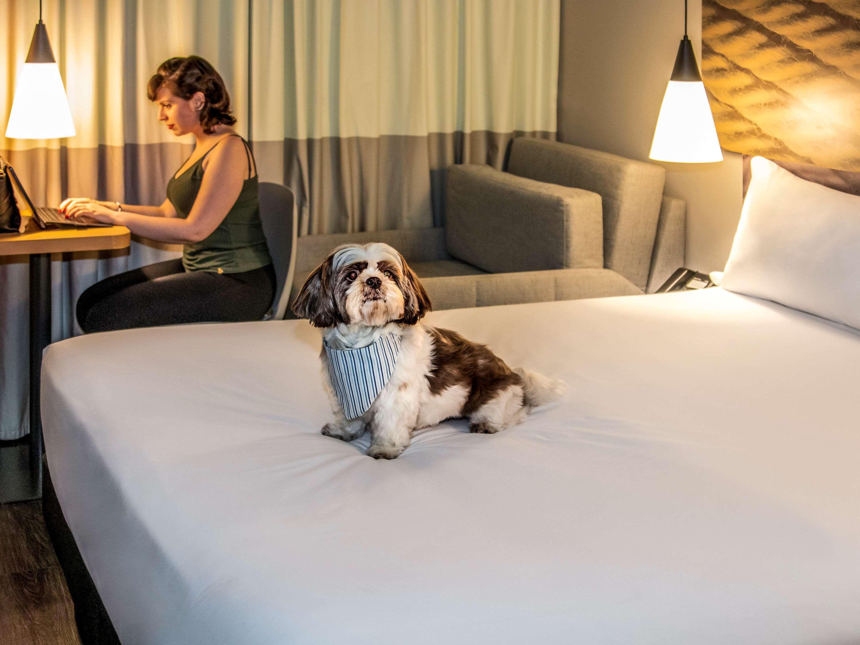 Ibis Sao Paulo Tatuape Hotel Екстериор снимка